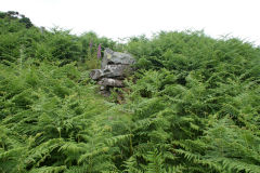 
Hills Tramroad to Llanfoist, incline top foundations, June 2009